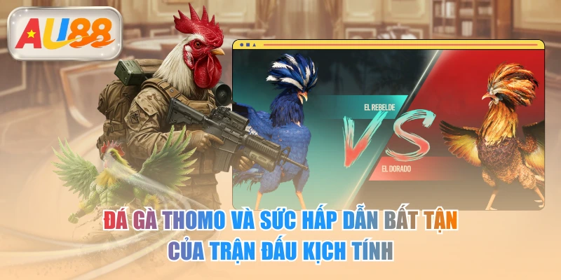 Đá gà thomo